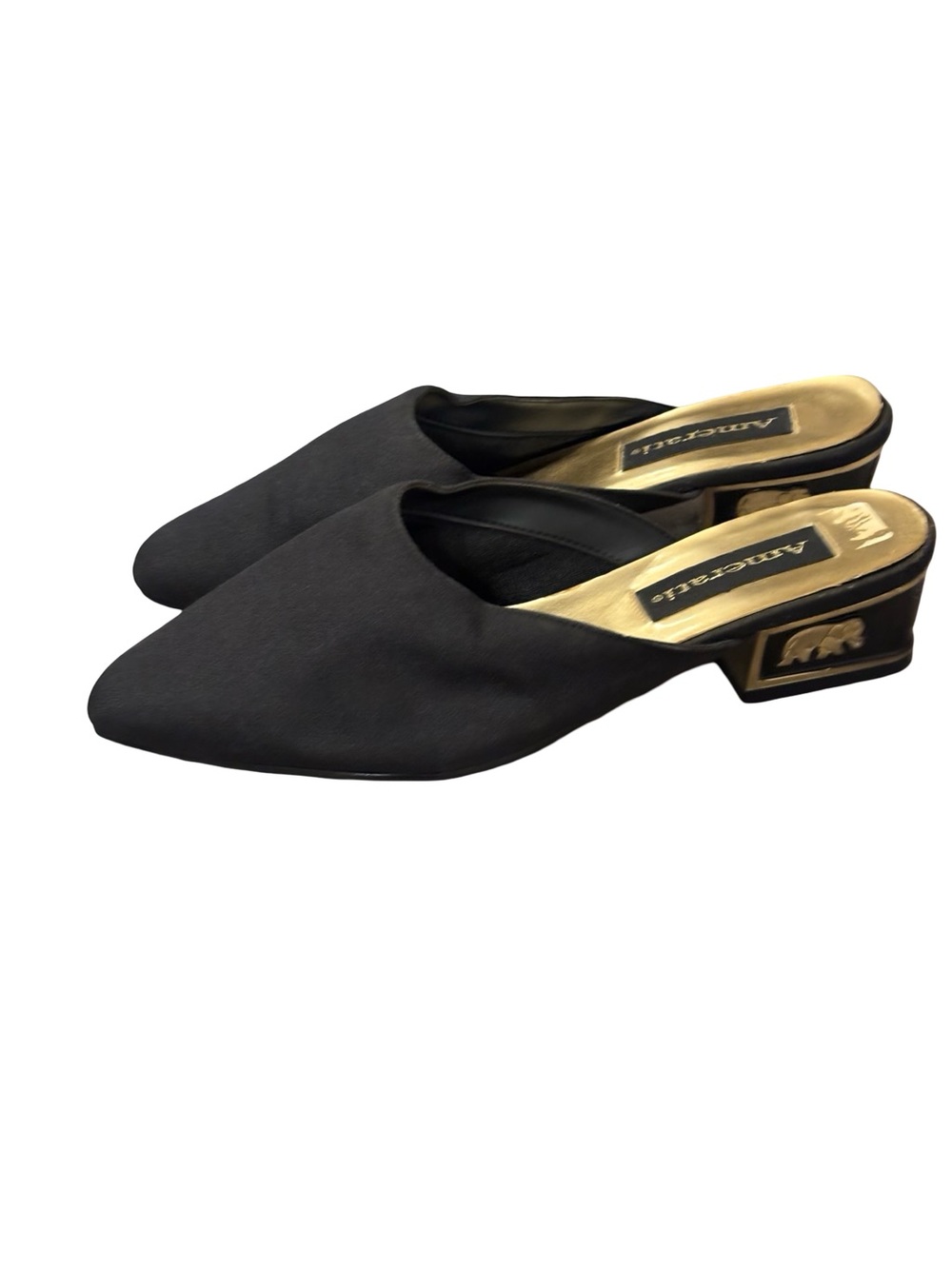 Black Pointed Mule with Low Block Heel